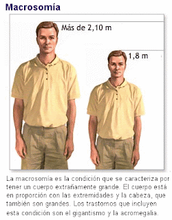 Los pequeños puntos rojos sobre la cabeza del miembro que esto